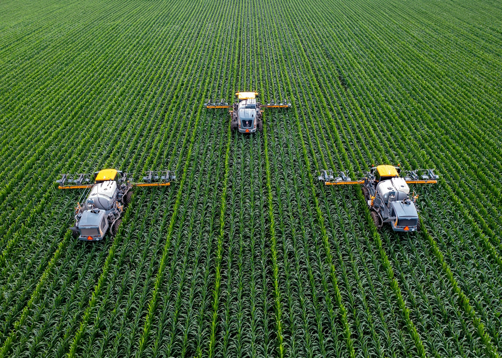 Fresh food supply chain